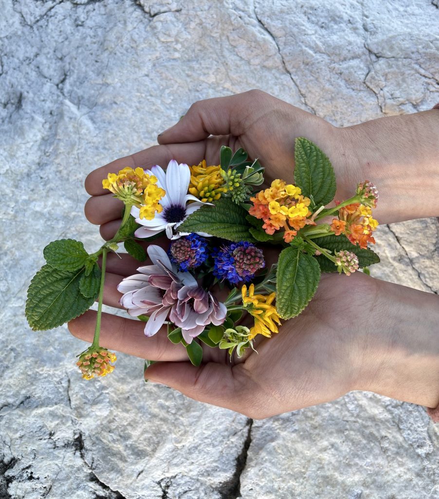 Naturopathie